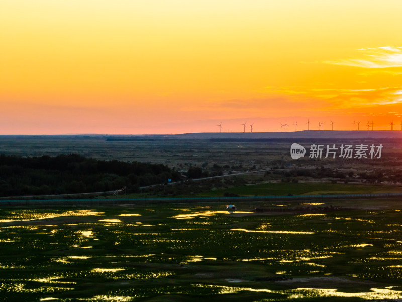 中国新疆阿勒泰湿地