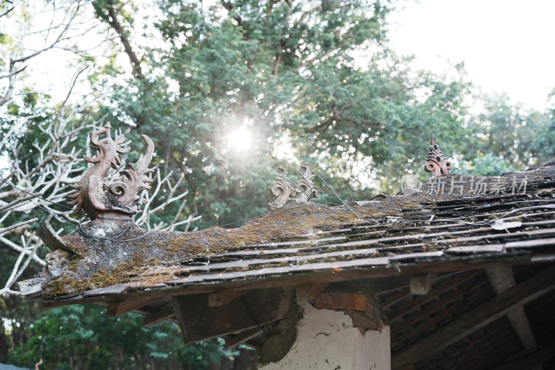 西双版纳曼丢佛寺