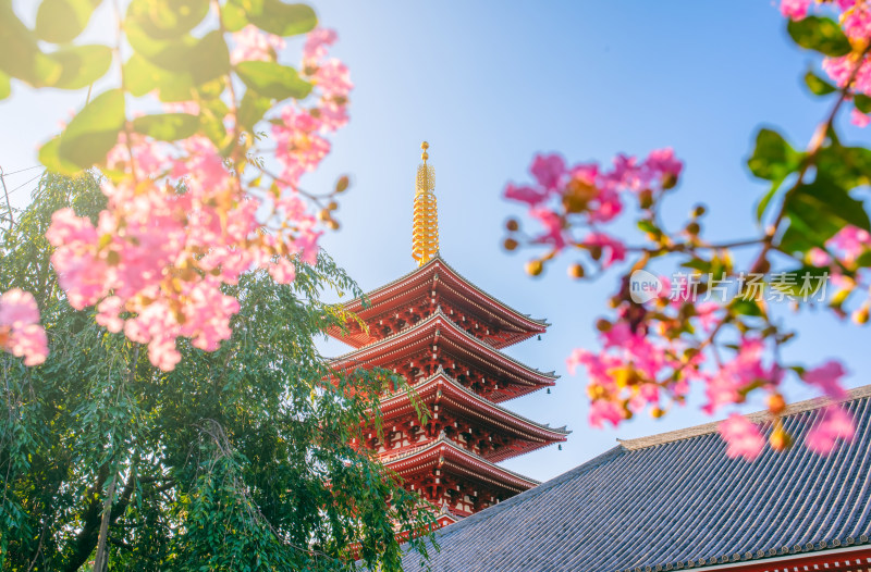 日本东京浅草寺五重塔建筑风光