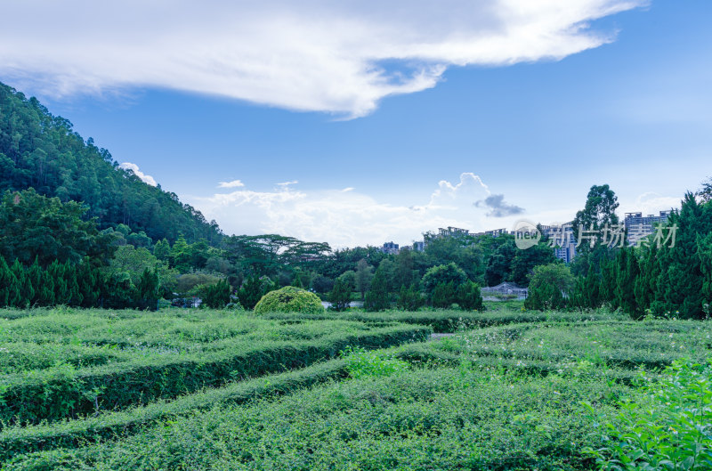 广州南沙蒲洲花园城市公园园林景观设计