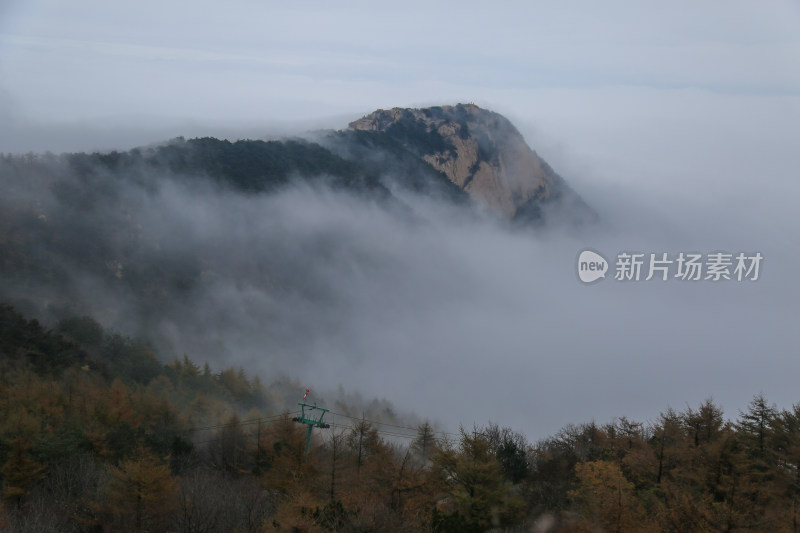 云海 山峰 山峦 山东 泰山