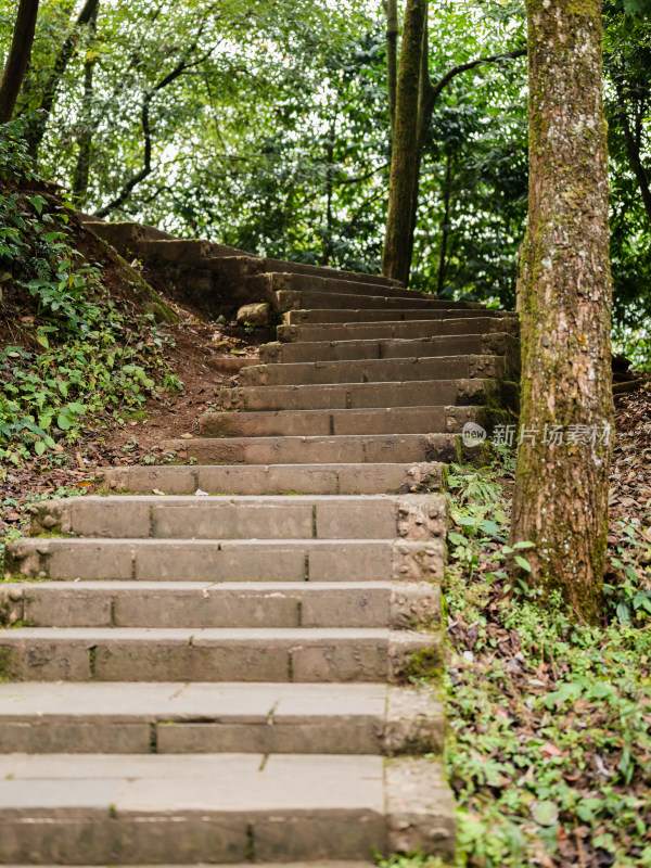 成都都江堰市青城山后山风景