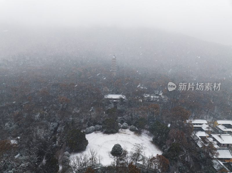 南京灵谷寺雪景