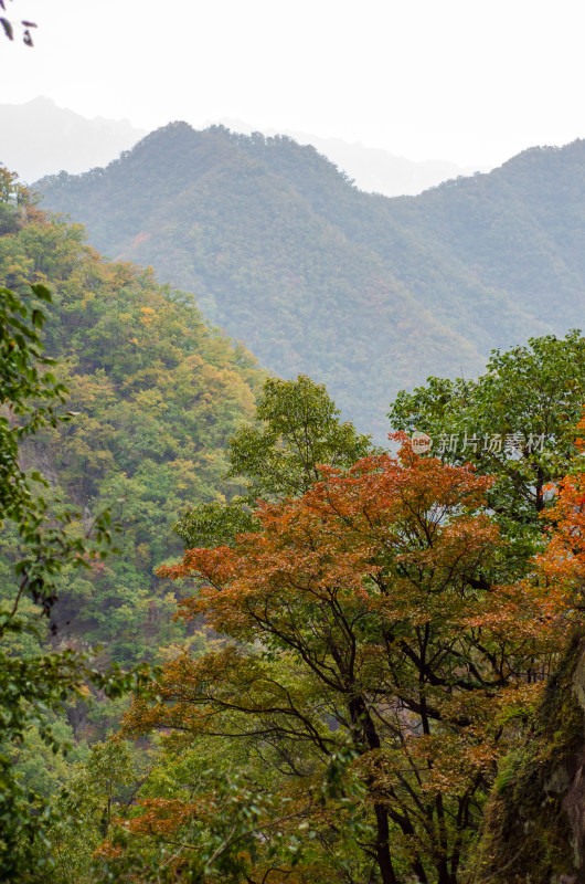 河南省洛阳白云山九龙潭秋天风景