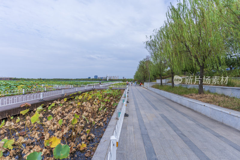 武汉江夏中央大公园风景