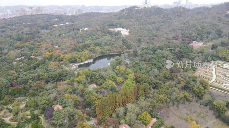 航拍青岛中山公园汇泉广场八大关风景区