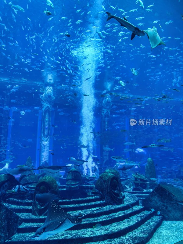 三亚亚特兰蒂斯酒店的水族馆