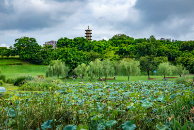 厦门同安文笔塔公园