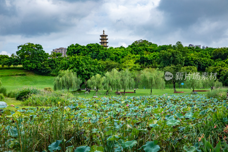 厦门同安文笔塔公园