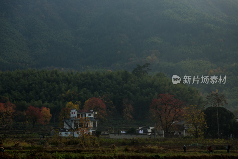 塔川的秋天