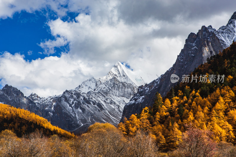 雪山下多彩树林的壮丽自然风光