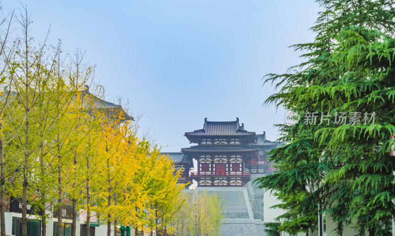 中国河南洛阳应天门国家遗址公园宫殿正面