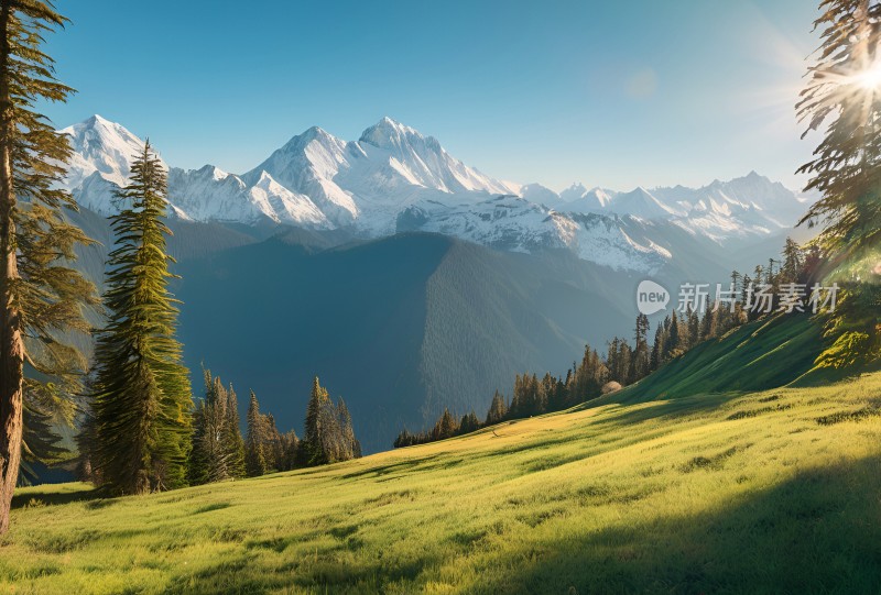 雪山高原草原森林风景