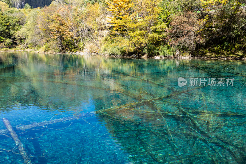 九寨沟五花海