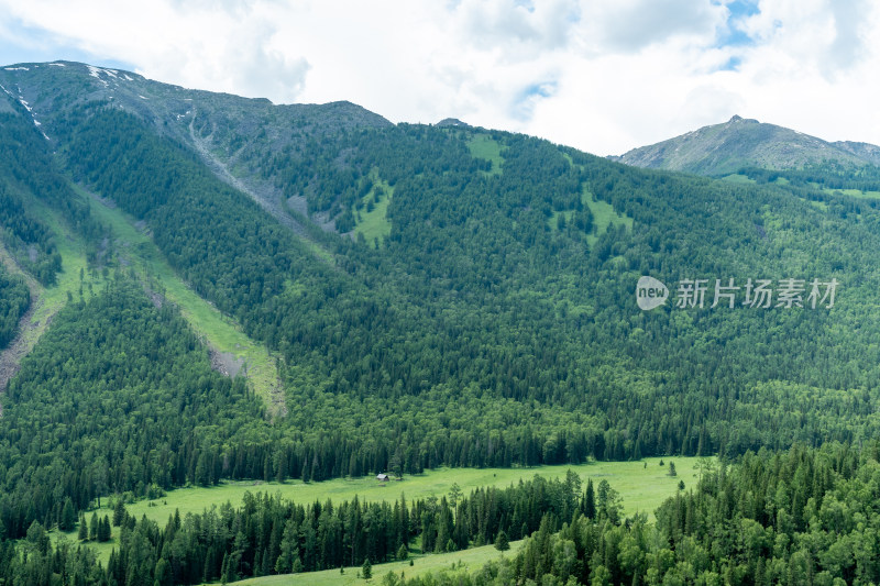 新疆喀纳斯景区风光