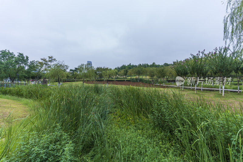 武汉洪山区西苑公园风景