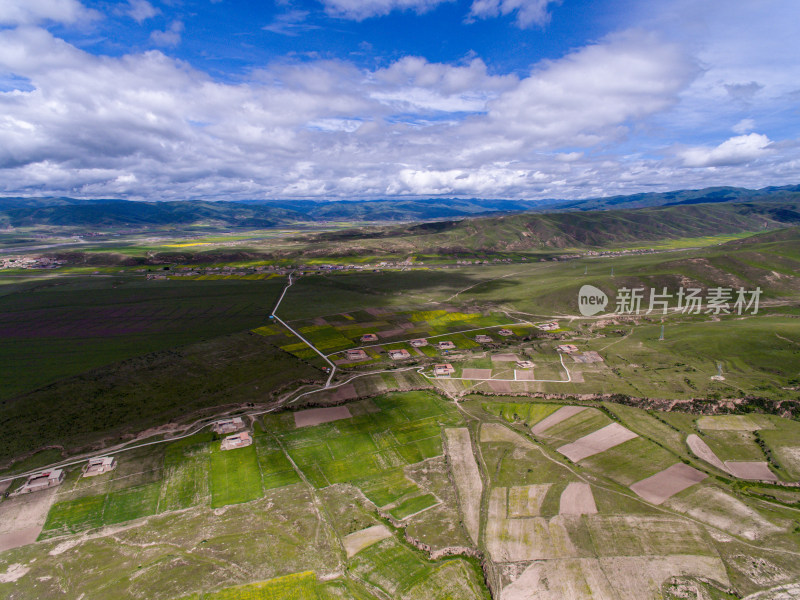 藏地乡村民居油菜花航拍全景图