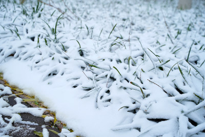 雪地随拍