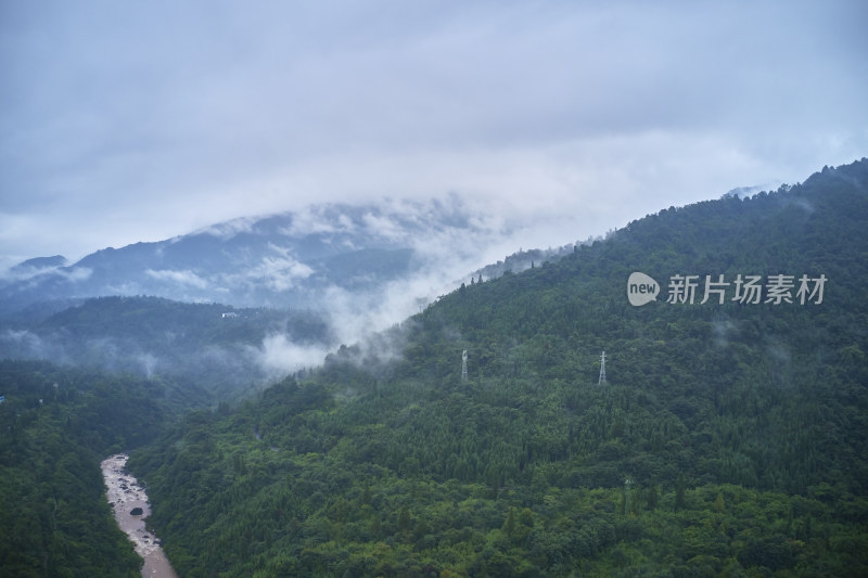 峨眉山的原始森林