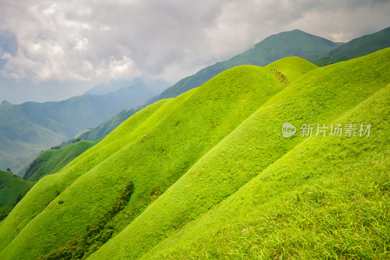 江西武功山高山草甸