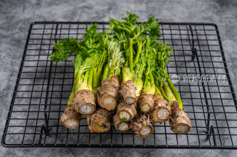 新鲜野菜刺嫩芽