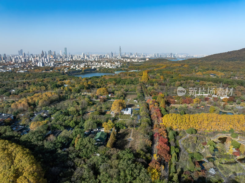 江苏南京灵山风景区前湖秋天秋色航拍