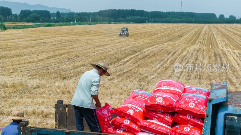 农村农民农业拖拉机播种玉米
