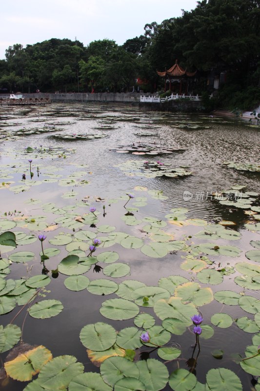 广东东莞：隐贤山庄景区