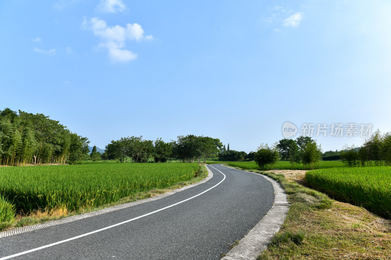 田园风光田间小路