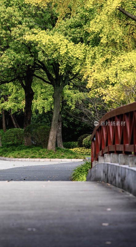 公园红桥旁绿树成荫道路