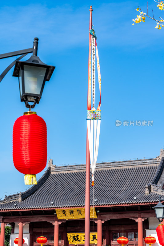 银杏树下的上海嘉定安亭老街菩提寺秋色景观