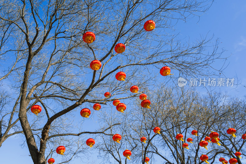北京北海公园之冬日美景