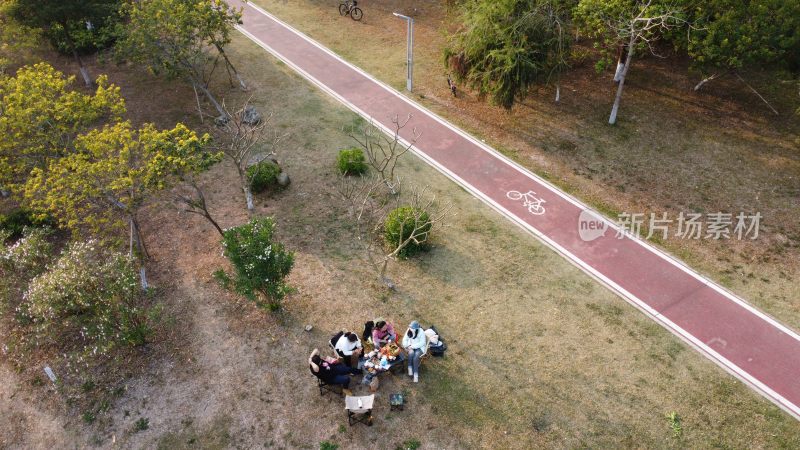 广东东莞：春光明媚 人们在草地上野餐