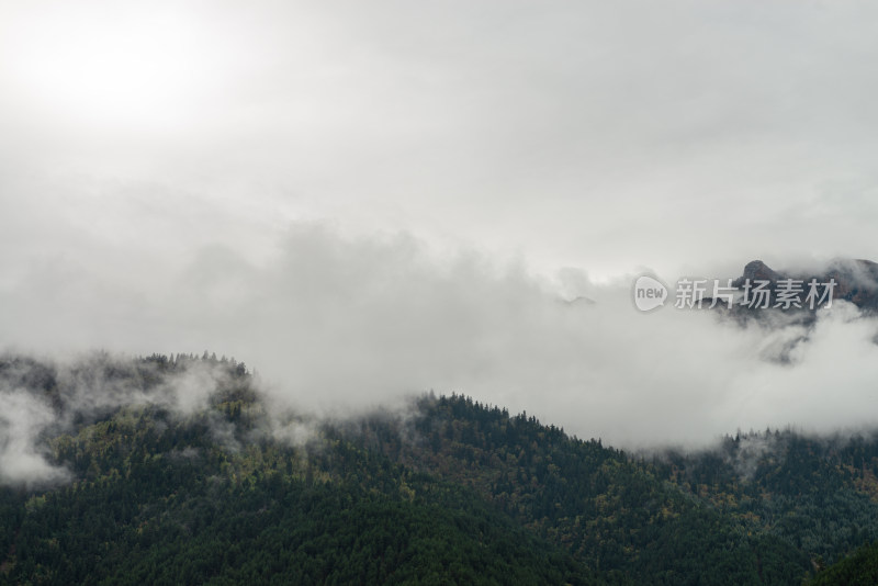 云雾中的森林山峰虎头山