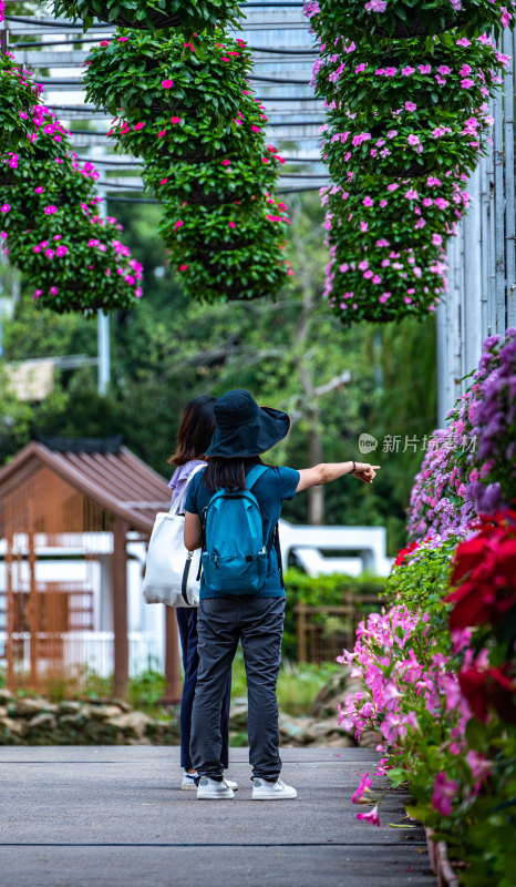 上海植物园自然风景景点景观