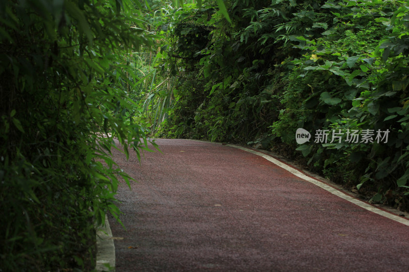 道路小路公路