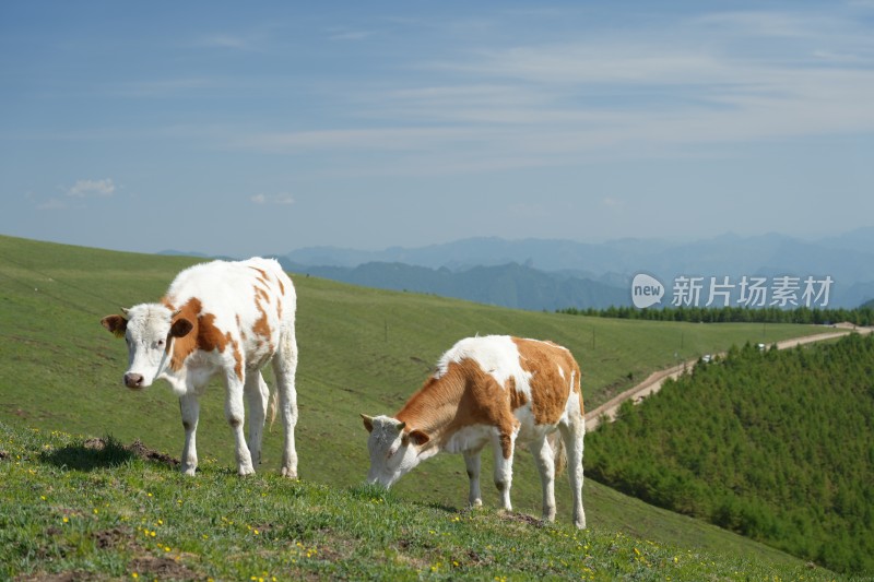 五台山南台风光