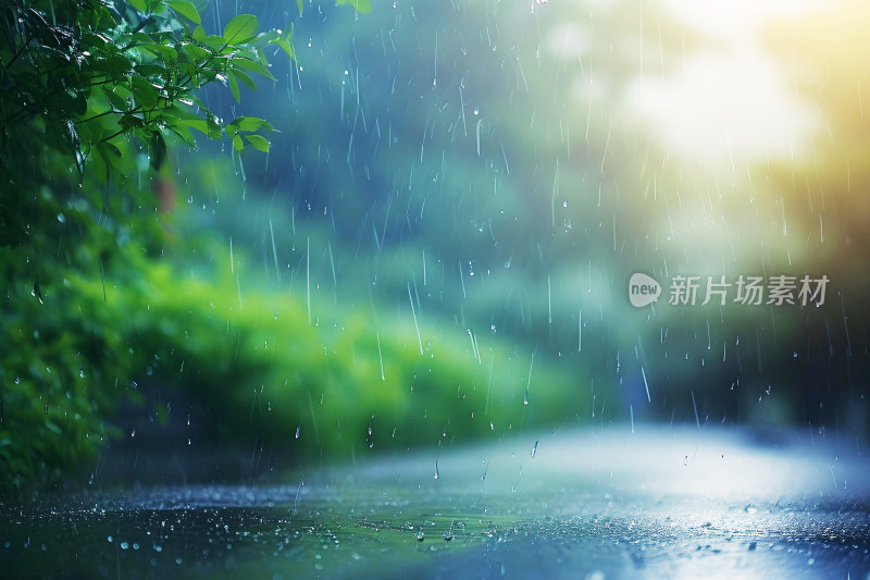 自然风景植物背景雨水