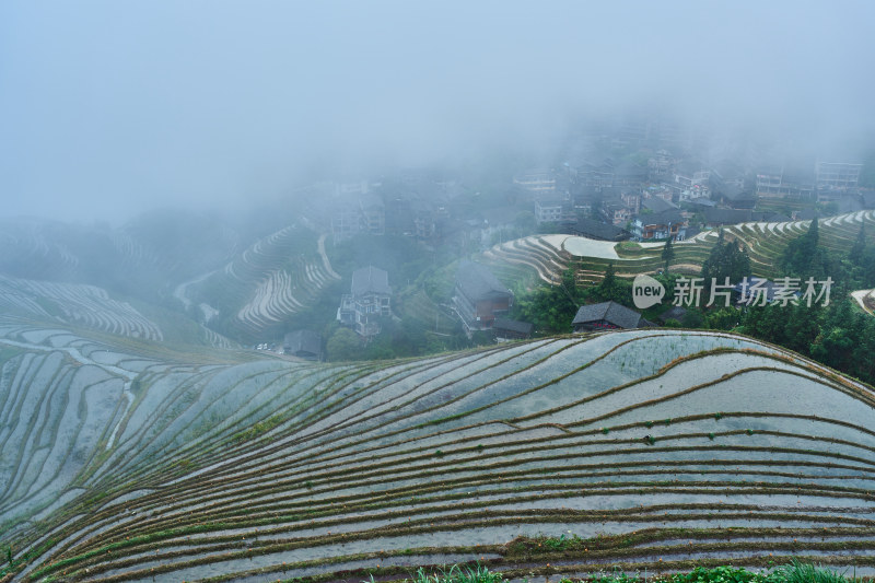 晨雾中的梯田