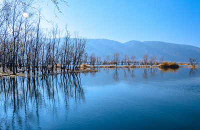 云南大理洱海湖畔树林秋景自然风光