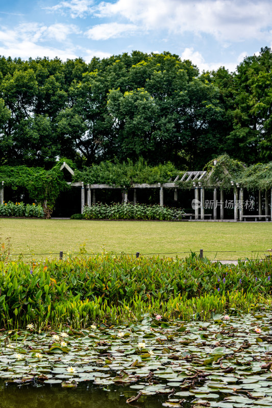 上海植物园自然风景景点景观