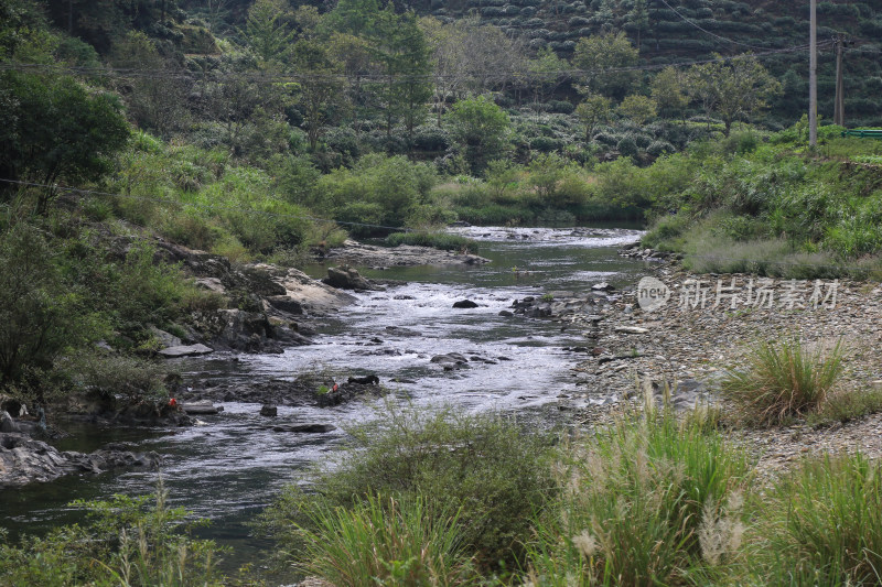 溪流 山间 河流