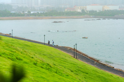 青岛小麦岛，海边的山坡和道路