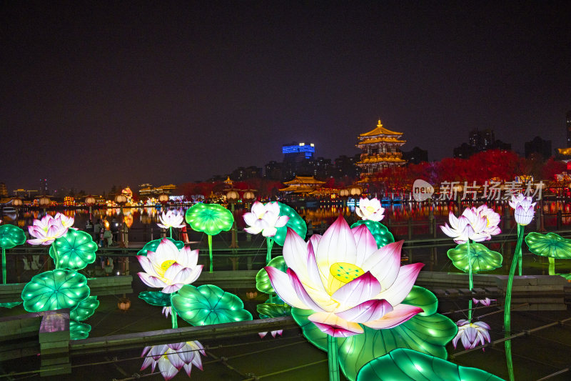 大唐芙蓉园夜景中荷花造型灯光景观