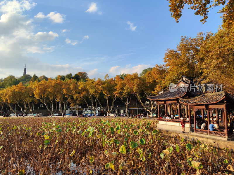 杭州西湖断桥湖畔黄昏夕阳下的景色