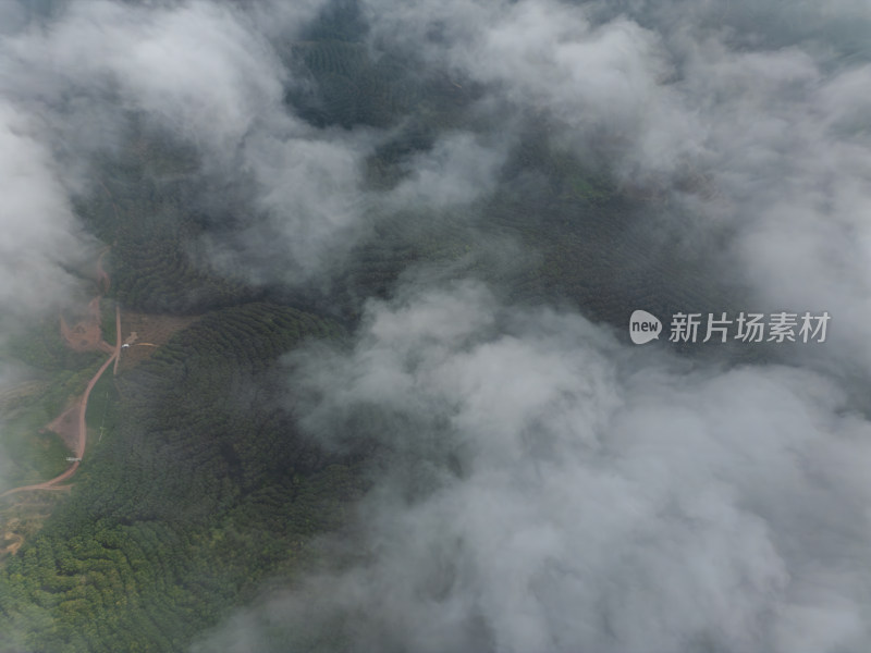 云雾缭绕山间的航拍风光