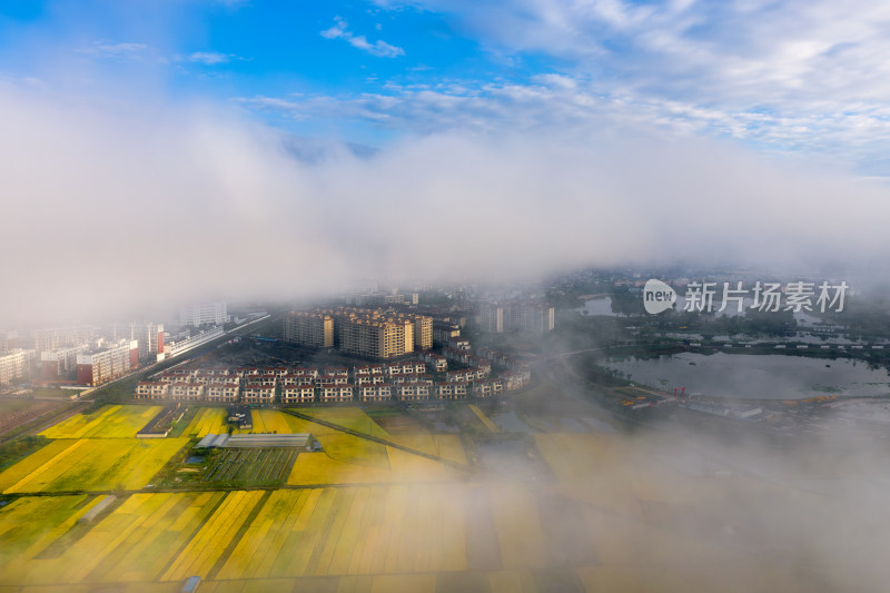 云雾缭绕下的城市与农田航拍全景