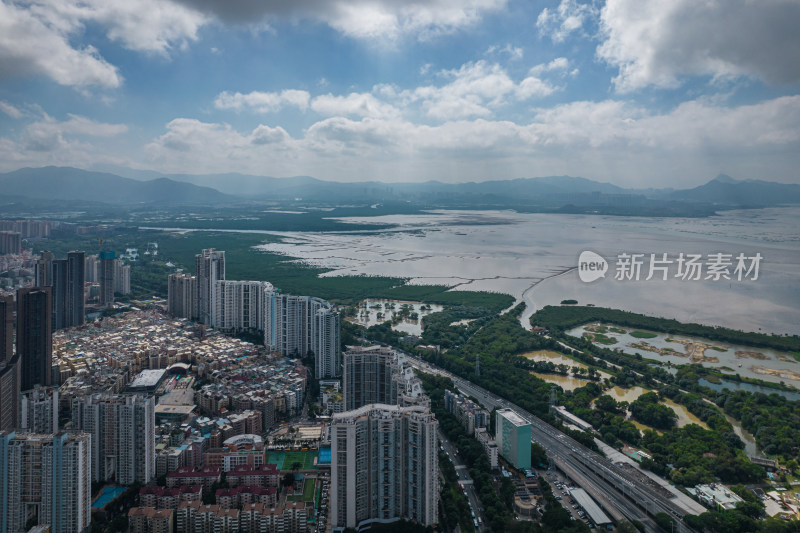 深圳市福田红树林保护区