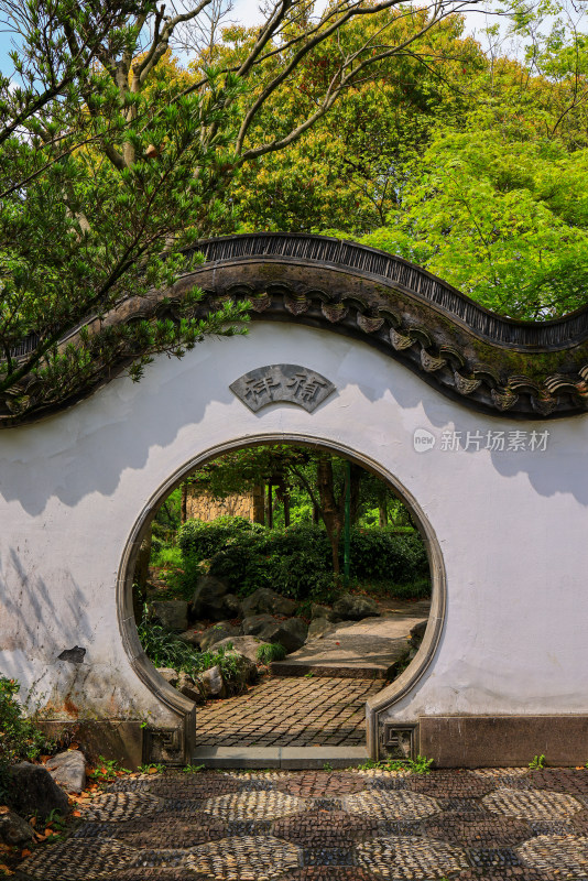 中国杭州西溪国家湿地高庄拱门的枫叶