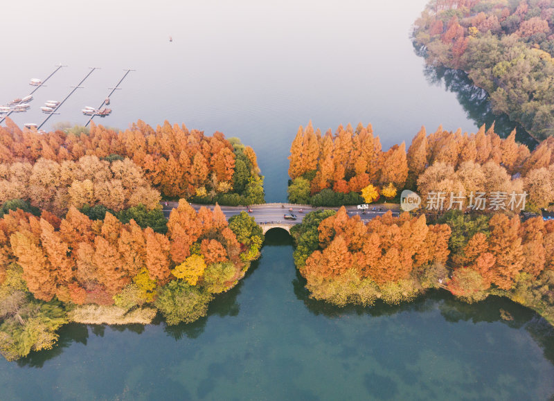 航拍浙江杭州深秋时节西湖隐秀桥和水杉